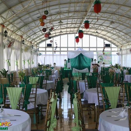 Island Tropic Hotel And Restaurant Alaminos Bagian luar foto